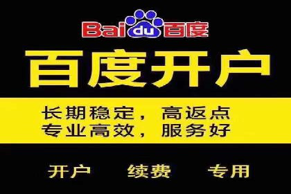 百度竞价排名服务：实战案例解析与优化技巧