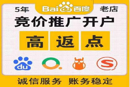 某知名品牌SEM运营策略及效果评估